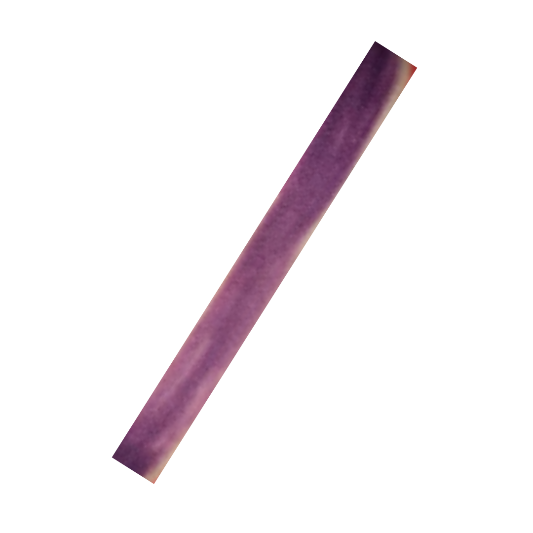 Lip Liners 08