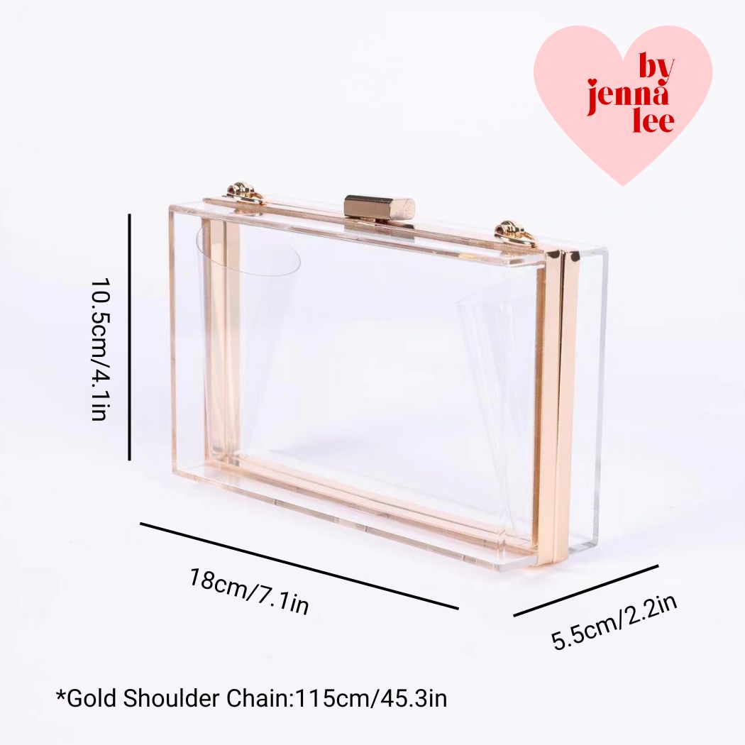 Clear Acrylic Purse