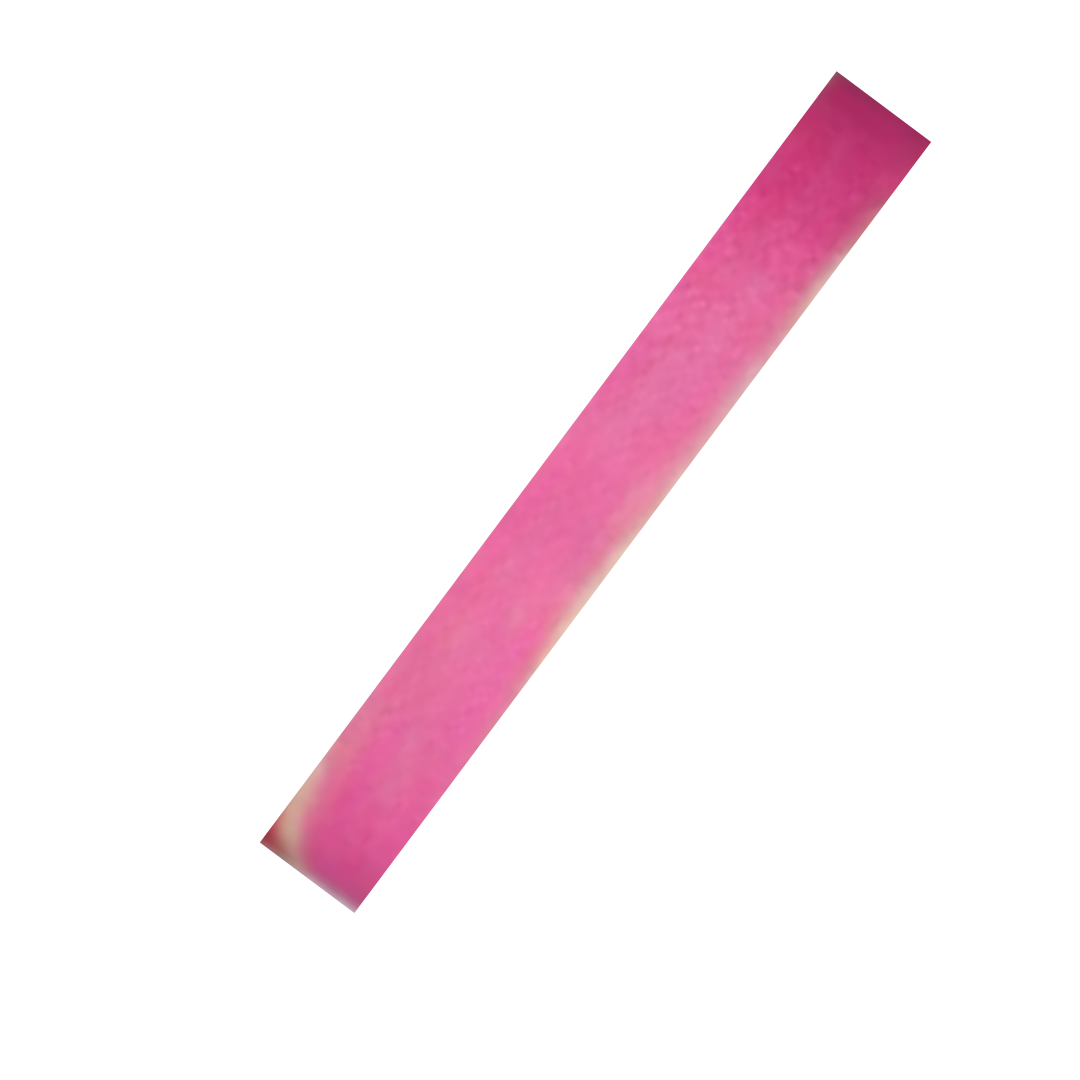 Lip Liners 05